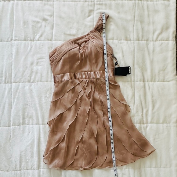 Dress | size 6 | Adrianna Pappel | Cocktail  | Champagne, blush, nude - Picture 12 of 14